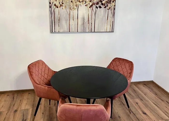 Mati 公寓 布拉索夫